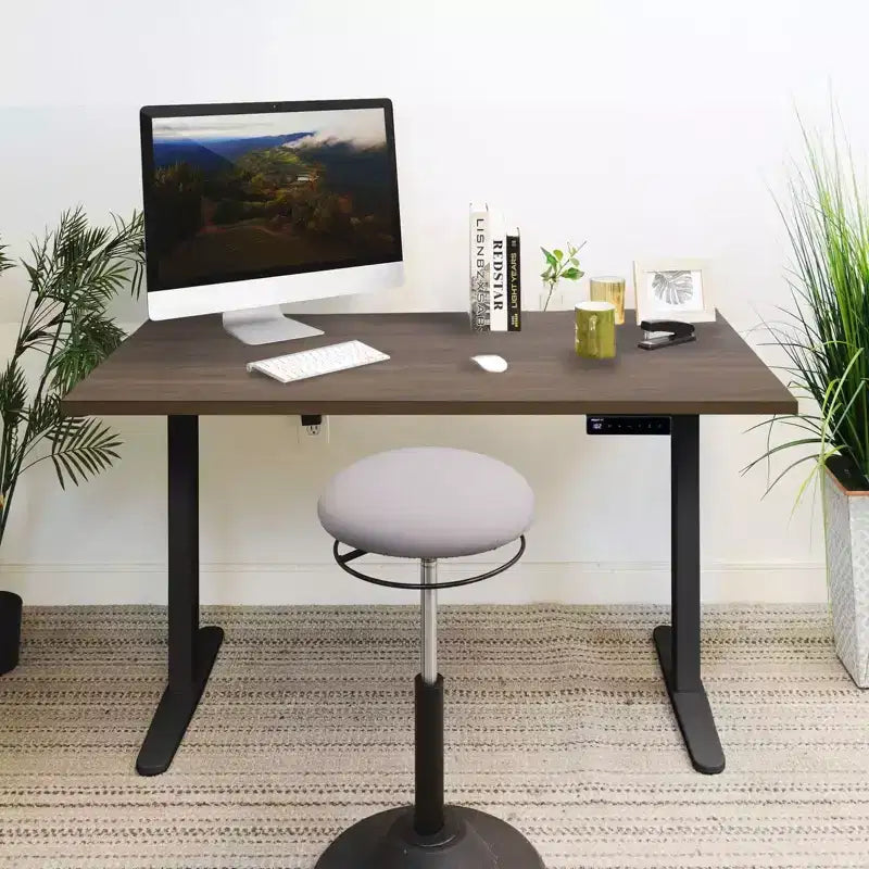 Bureau assis-debout électrique avec plateau – Noir/Adrift